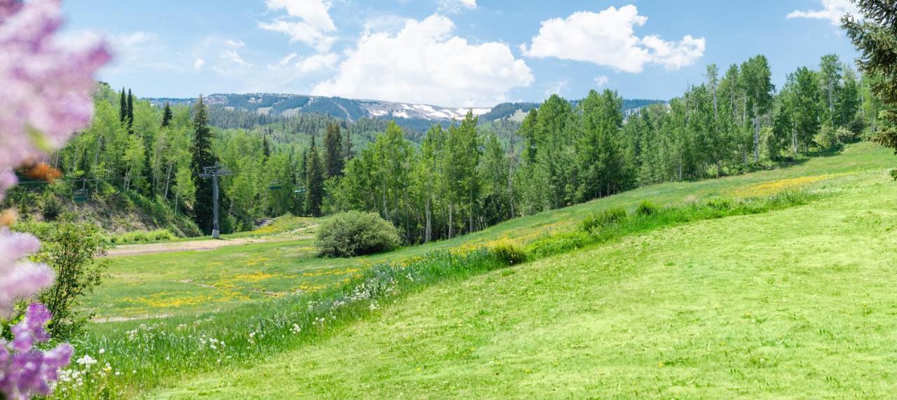 Laurelwood Condominiums 202 Snowmass Village Eksteriør billede